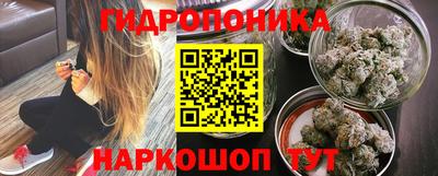 круглые Бийск