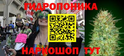 круглые Бийск