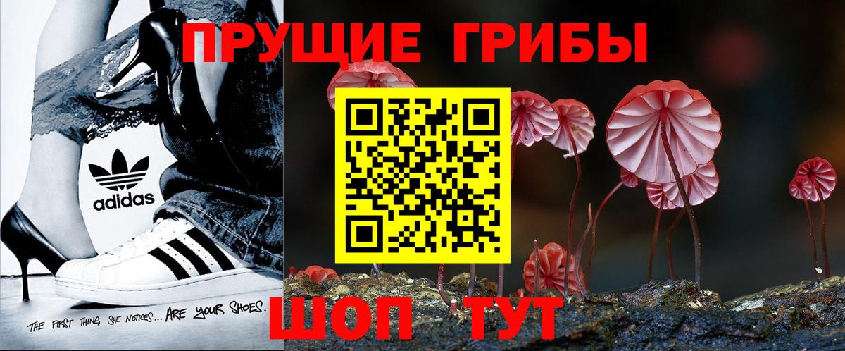 Псилоцибиновые грибы ЛСД Калининград