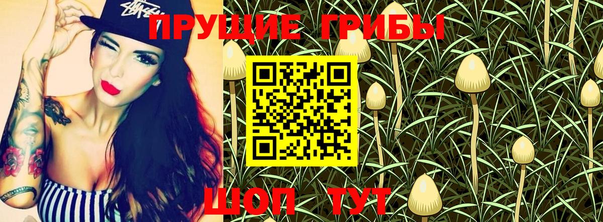 Калининград  Псилоцибиновые грибы MAGIC MUSHROOMS  Галлюциногенные грибы ЛСД  Вход с VPN 