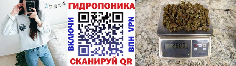 omg вход  Калининград  Каннабис семена  купить  сайты 